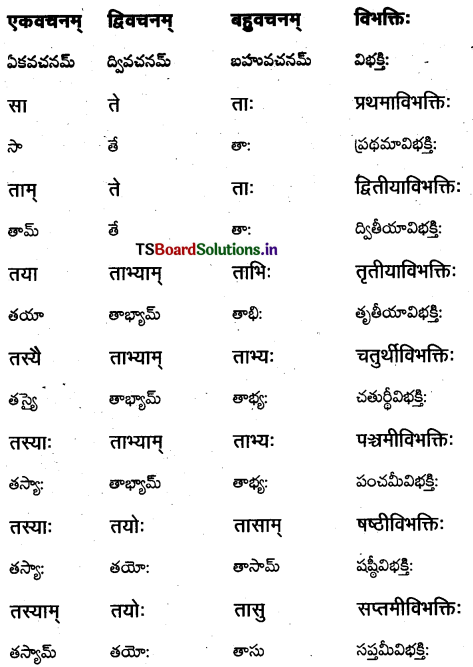 TS Inter 1st Year Sanskrit Grammar शब्दरूपाणि 17