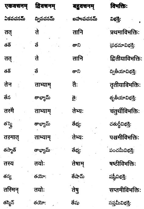 TS Inter 1st Year Sanskrit Grammar शब्दरूपाणि 18