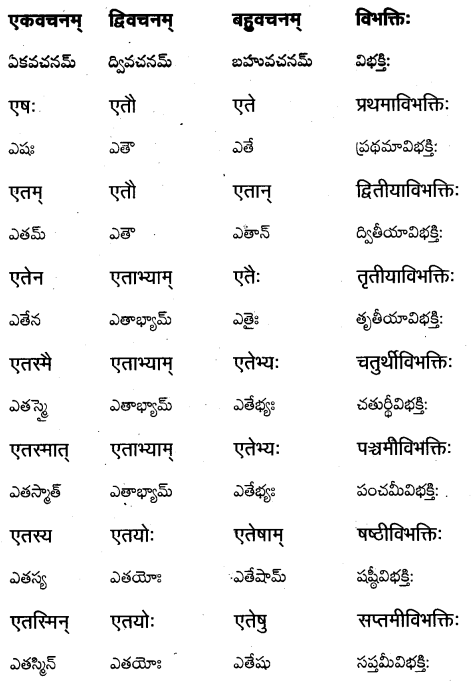 TS Inter 1st Year Sanskrit Grammar शब्दरूपाणि 22
