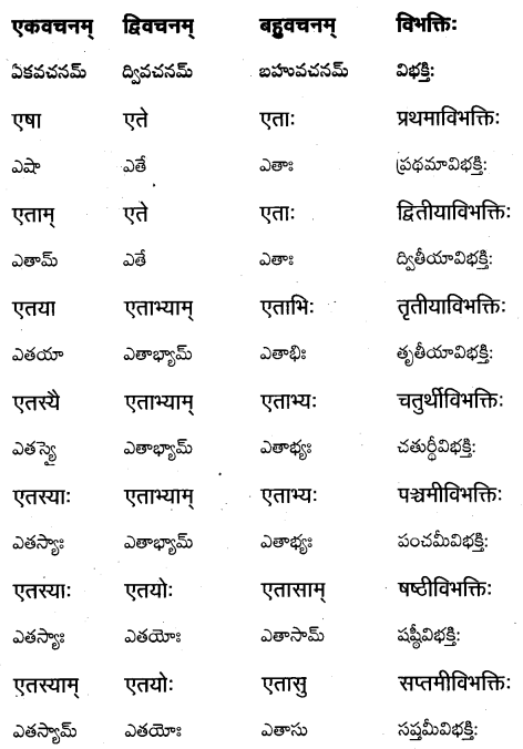 TS Inter 1st Year Sanskrit Grammar शब्दरूपाणि 23