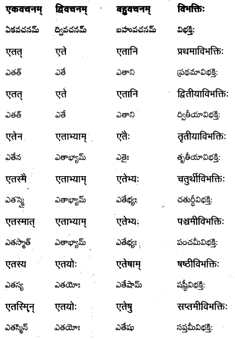 TS Inter 1st Year Sanskrit Grammar शब्दरूपाणि 24