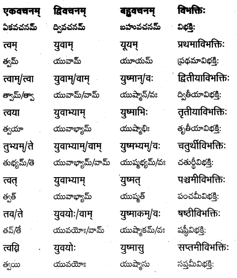 TS Inter 1st Year Sanskrit Grammar शब्दरूपाणि 26