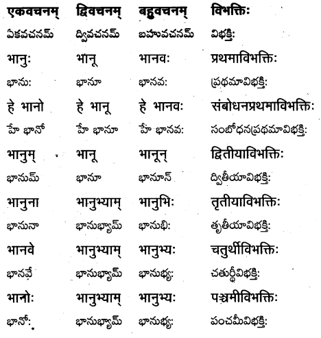 TS Inter 1st Year Sanskrit Grammar शब्दरूपाणि 5