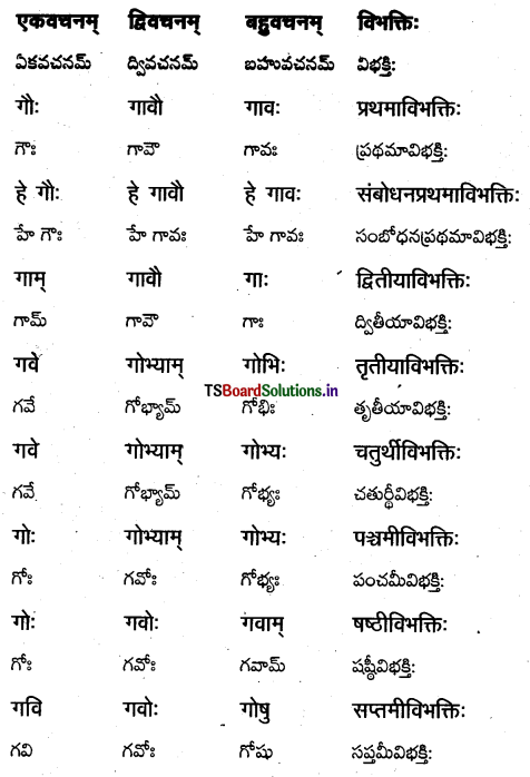TS Inter 1st Year Sanskrit Grammar शब्दरूपाणि 8