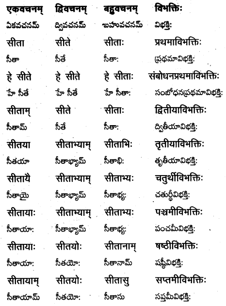 TS Inter 1st Year Sanskrit Grammar शब्दरूपाणि 9
