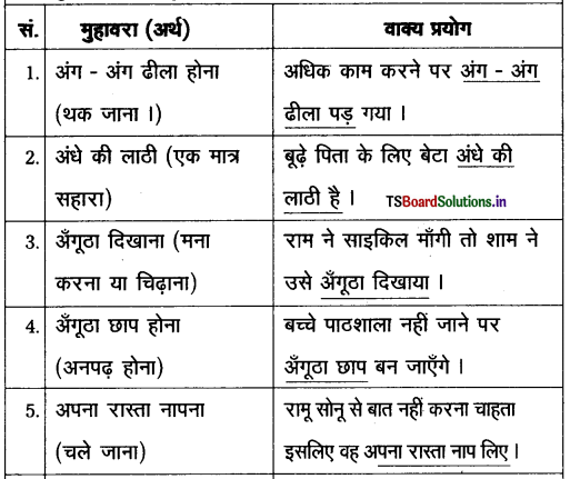 TS Inter 2nd Year Hindi Grammar महावरे और लोकोक्तियाँ 1