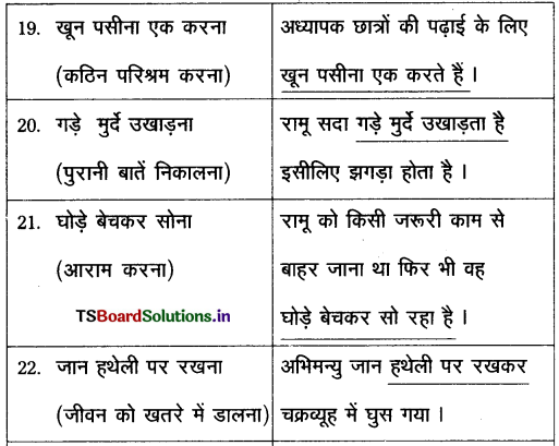 TS Inter 2nd Year Hindi Grammar महावरे और लोकोक्तियाँ 5