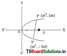 TS Inter 2nd Year Maths 2B Solutions Chapter 3 Parabola Ex 3(a) II Q1