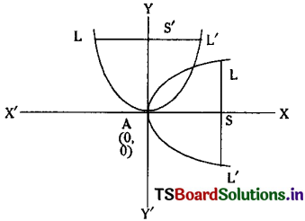 TS Inter 2nd Year Maths 2B Solutions Chapter 3 Parabola Ex 3(b) II Q8