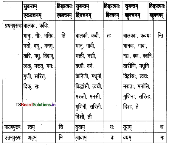 TS Inter 2nd Year Sanskrit Grammar वाक्यशुद्धीकरणम् 1