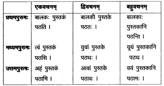 TS Inter 2nd Year Sanskrit Grammar वाक्यशुद्धीकरणम् 2