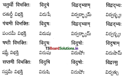 TS Inter 2nd Year Sanskrit Grammar शब्दरूपाणि 10