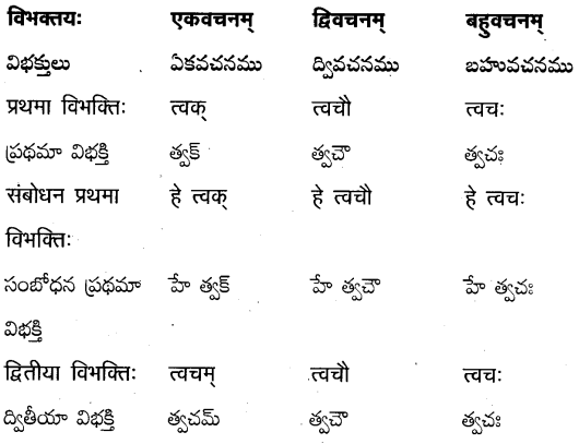 TS Inter 2nd Year Sanskrit Grammar शब्दरूपाणि 11