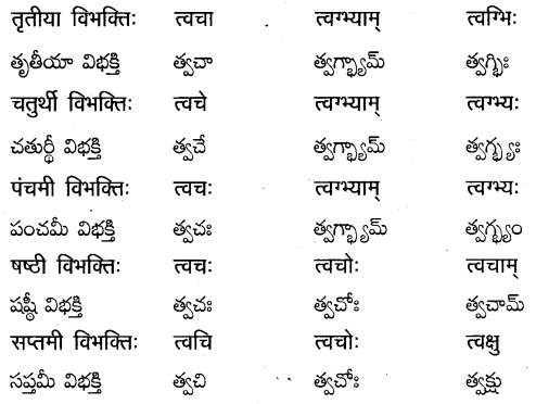 TS Inter 2nd Year Sanskrit Grammar शब्दरूपाणि 12
