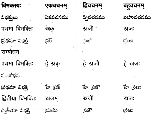 TS Inter 2nd Year Sanskrit Grammar शब्दरूपाणि 13