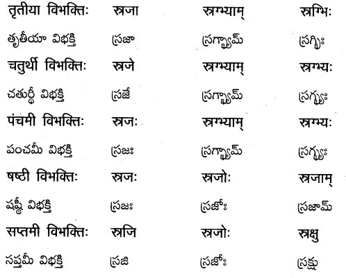 TS Inter 2nd Year Sanskrit Grammar शब्दरूपाणि 14