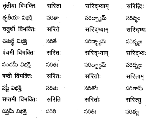 TS Inter 2nd Year Sanskrit Grammar शब्दरूपाणि 16