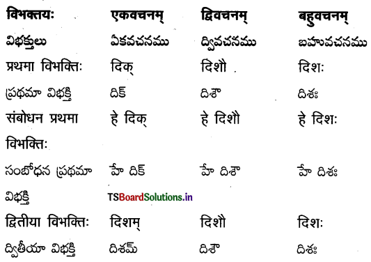 TS Inter 2nd Year Sanskrit Grammar शब्दरूपाणि 17