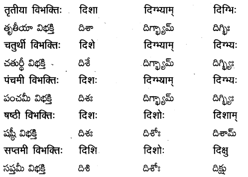 TS Inter 2nd Year Sanskrit Grammar शब्दरूपाणि 18
