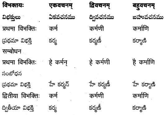 TS Inter 2nd Year Sanskrit Grammar शब्दरूपाणि 19