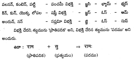 TS Inter 2nd Year Sanskrit Grammar शब्दरूपाणि 2
