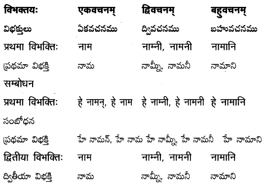 TS Inter 2nd Year Sanskrit Grammar शब्दरूपाणि 21