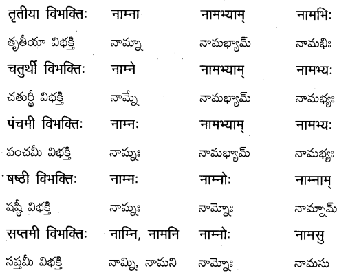 TS Inter 2nd Year Sanskrit Grammar शब्दरूपाणि 22