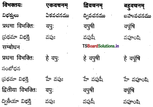 TS Inter 2nd Year Sanskrit Grammar शब्दरूपाणि 23