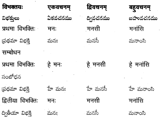 TS Inter 2nd Year Sanskrit Grammar शब्दरूपाणि 25