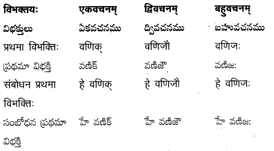 TS Inter 2nd Year Sanskrit Grammar शब्दरूपाणि 3