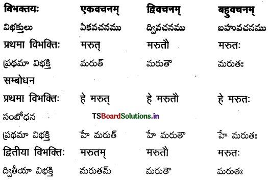 TS Inter 2nd Year Sanskrit Grammar शब्दरूपाणि 5