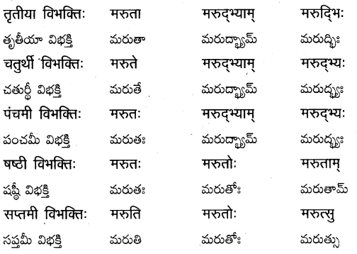 TS Inter 2nd Year Sanskrit Grammar शब्दरूपाणि 6