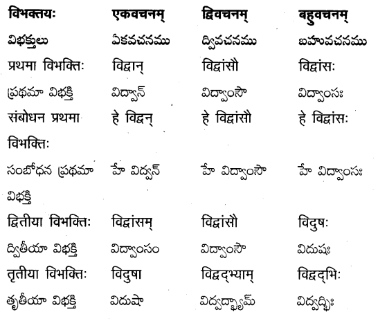 TS Inter 2nd Year Sanskrit Grammar शब्दरूपाणि 9