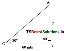 TS 10th Class Maths Bits Chapter 11 Trigonometry 10