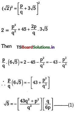 TS 10th Class Maths Important Questions Chapter 1 Real Numbers 23