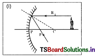 TS 10th Class Physical Science Solutions Chapter 1 Reflection of Light at Curved Surfaces 5