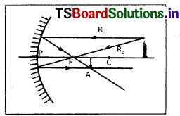 TS 10th Class Physical Science Solutions Chapter 1 Reflection of Light at Curved Surfaces 9