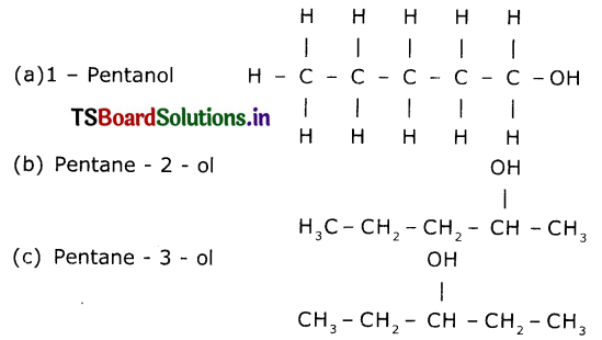TS 10th Class Physical Science Solutions Chapter 12 Carbon and its Compounds 23
