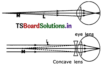 TS 10th Class Physical Science Solutions Chapter 5 Human Eye and Colourful World 2
