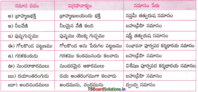 TS 10th Class Telugu Guide 10th Lesson గోలకొండ పట్టణము 7