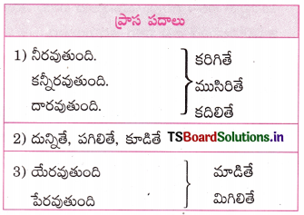 TS 10th Class Telugu Guide 9th Lesson జీవనభాష్యం 1