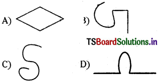 TS 6th Class Maths Bits 4th Lesson Basic Geometrical Ideas 5
