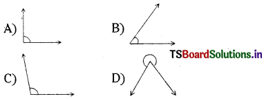 TS 6th Class Maths Bits 5th Lesson Measures of Lines and Angles 1
