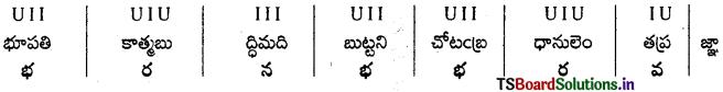 TS 9th Class Telugu Guide 5th Lesson శతక మధురిమ 10