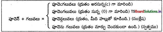 TS 9th Class Telugu Guide 5th Lesson శతక మధురిమ 11