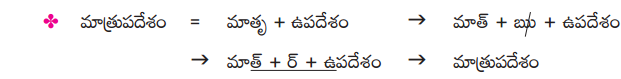 TS 9th Class Telugu Guide 8th Lesson ఉద్యమ స్ఫూర్తి 5