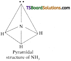 TS Inter 1st Year Chemistry Study Material Chapter 3 Chemical Bonding and Molecular Structure 49