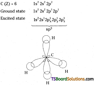 TS Inter 1st Year Chemistry Study Material Chapter 3 Chemical Bonding and Molecular Structure 56