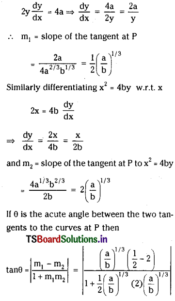 TS Inter 2nd Year Maths 2B Parabola Important Questions 17