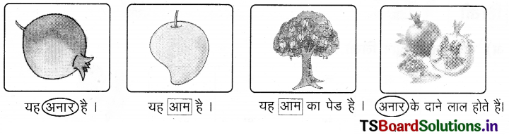 TS 6th Class Hindi Guide 1st Lesson आम ले लो आम! 12